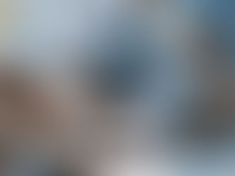 Grippe aviaire: protégez vos volailles et les oiseaux domestiques