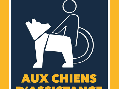 Bienvenue aux chiens d'assistance