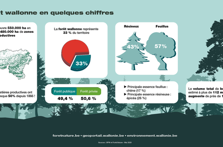 Cartographie: "La forêt wallonne au fil du temps"