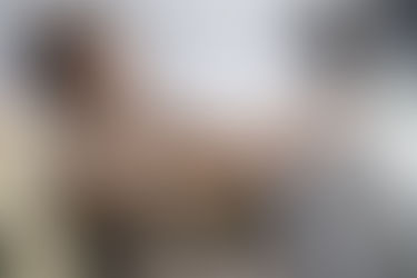 Puluhan artis pop Taiwan terlibat jaringan prostitusi internasional