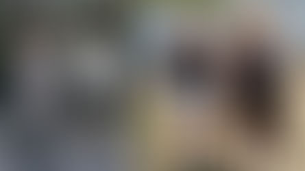 Why Asian Women Are Better To Date Than American Women