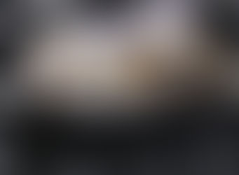 Americans Will Spend More than $60 Billion on Their Pets This Year