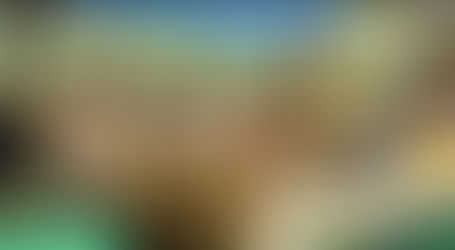 As I’d Like to Call Myself: A Proud Hardworking Indonesian