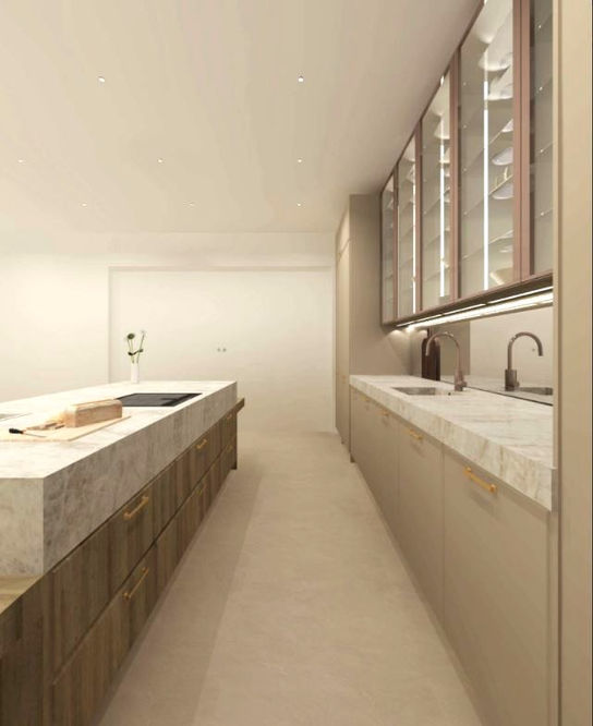 dana bay - kitchen 3D 3_edited.jpg