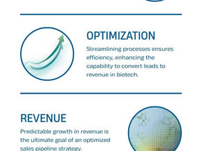 Life sciences sales pipeline funnel illustrating leads to revenue conversion and pipeline optimization