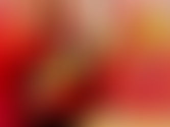 January Happenings for all Zodiac Signs