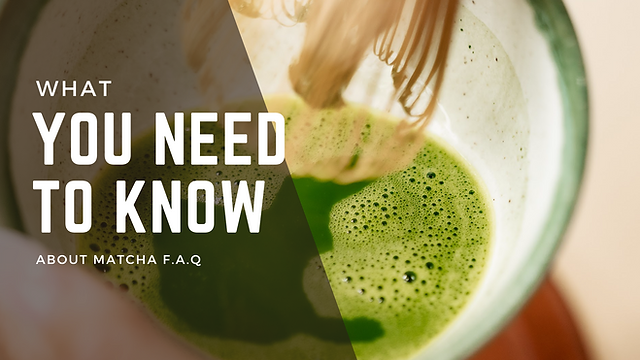 What You Need to Know About Matcha: Frequently Asked Questions