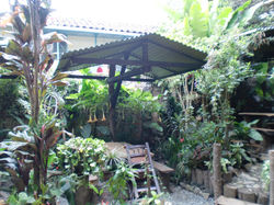 CIMG6570.JPG