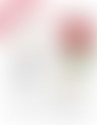 Spring Recruitment 2018