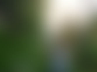 My first post on my blog