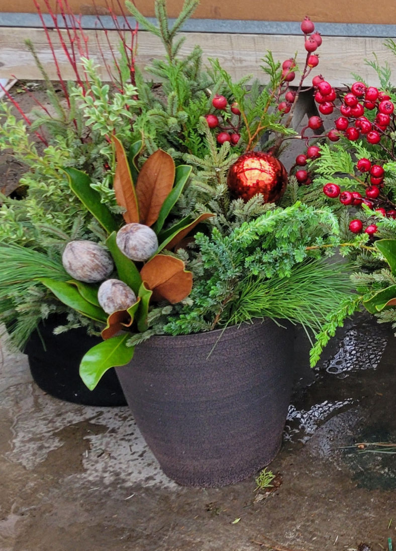 20241119_151230_edited_edited