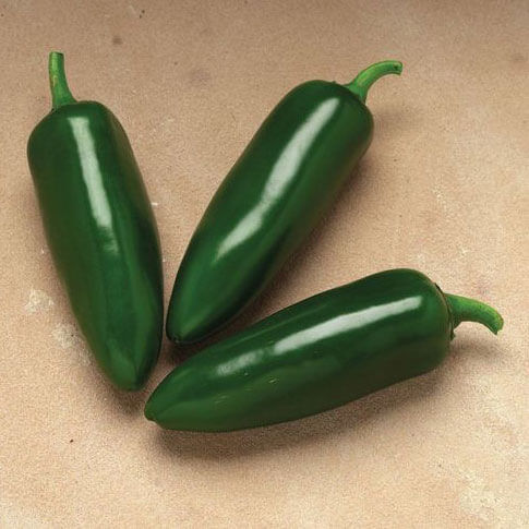 Vegetable-Peppers Hot-Jalapeno