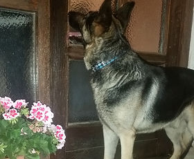 20180513_211741_edited.jpg