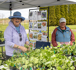Our Volunteers Rock!
