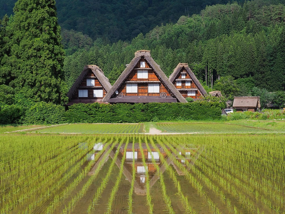 Visit Japan