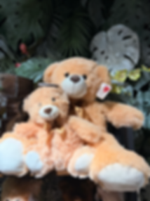 Teddy Bear