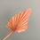 Thumbnail: Dried Palm Pink - Stem
