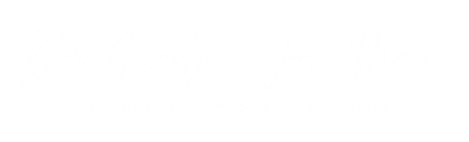 Door Banner-2.png