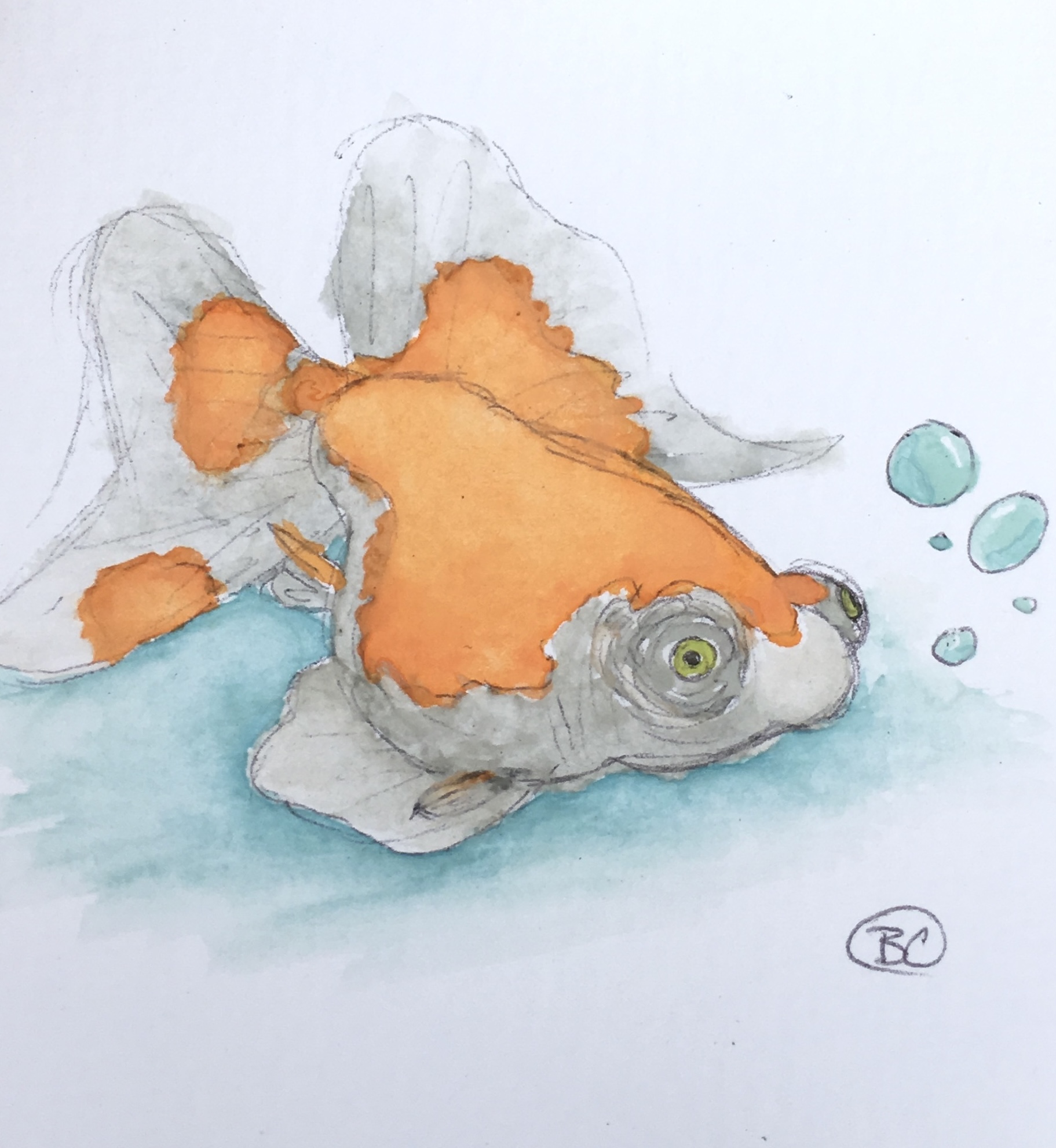 Goldfish
