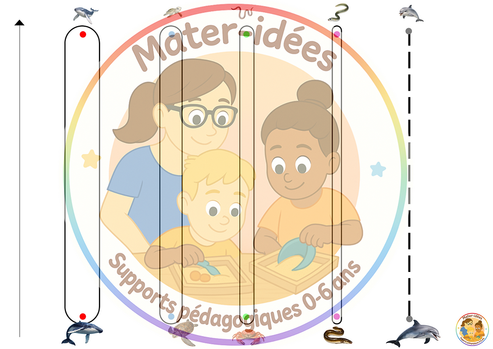 Miniature : Graphisme aquatique