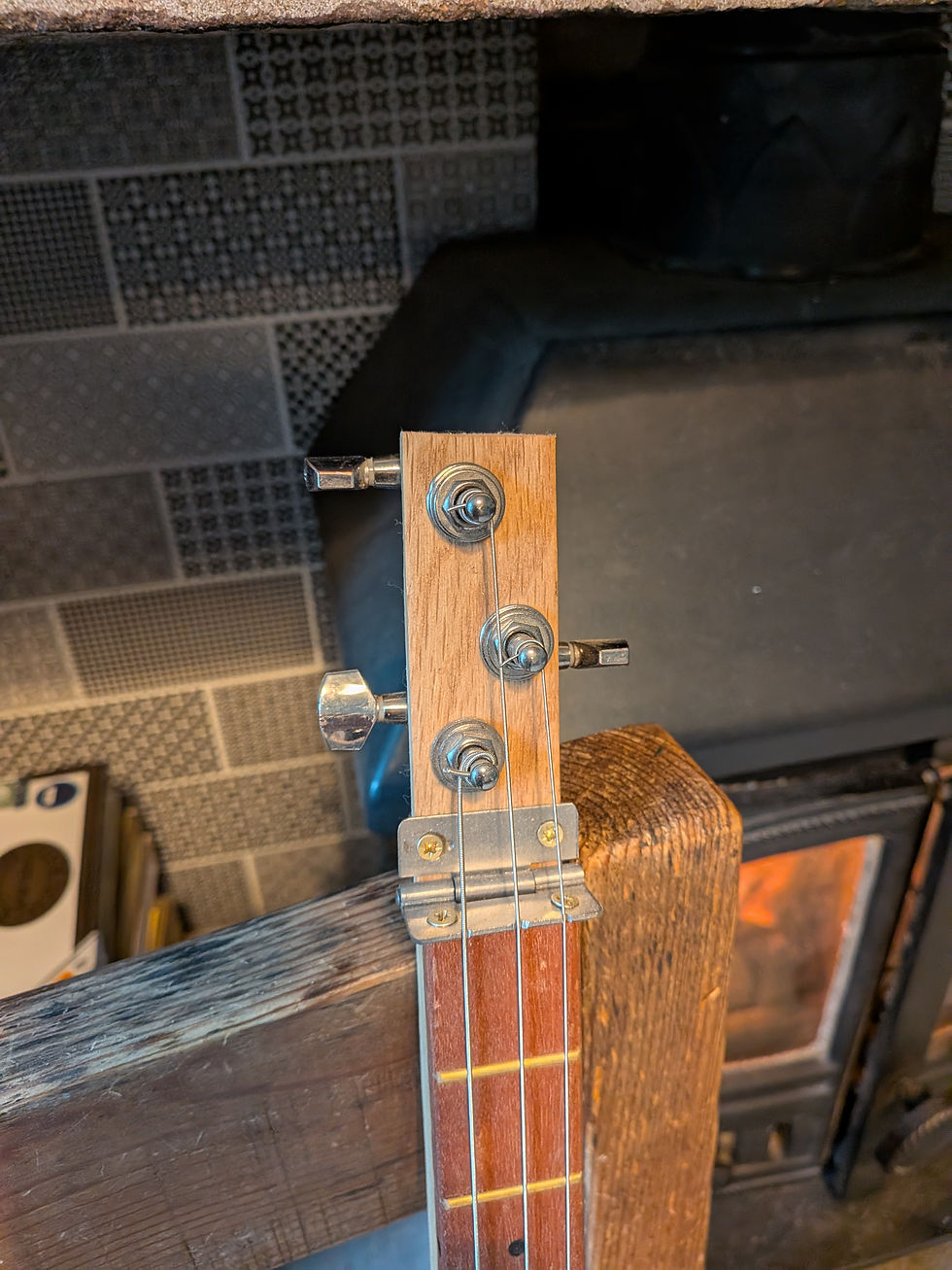 Thumbnail: Petronas Selenia 3 String Diddley Bow