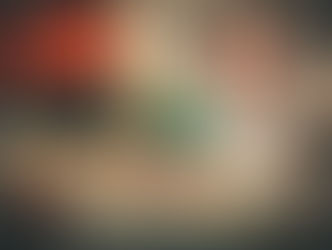 Ice Age 50 Mile Race Report