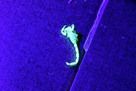 WhatsApp Image 2026-04-02 at 16_edited.j