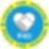 P4U_logo