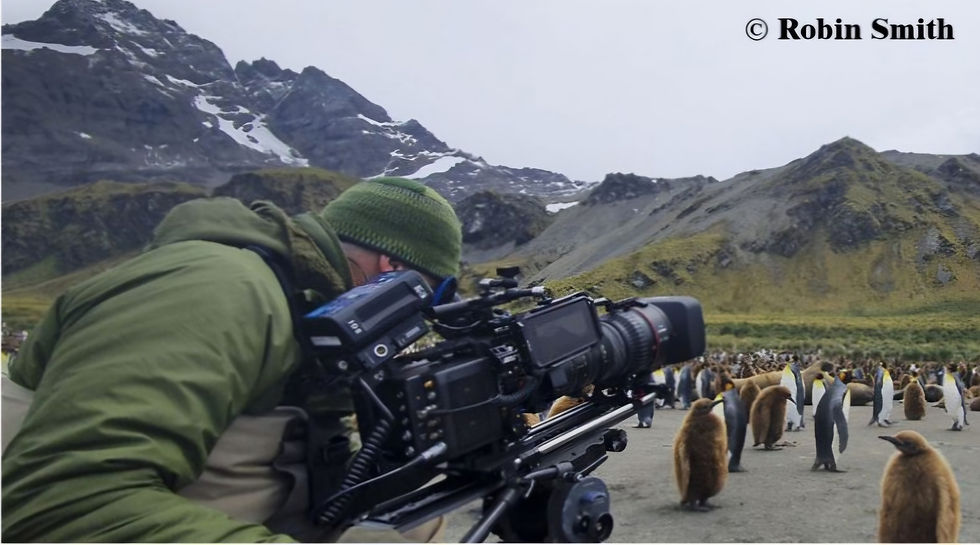 An Evening with Robin Smith - award-winning wildlife cameraman
