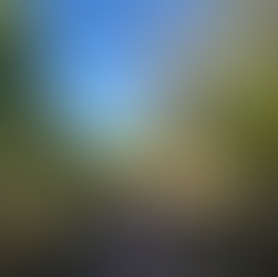 🌳 Ελαιόραμα Πυλαίας: Μια ανάσα φύσης στην πόλη