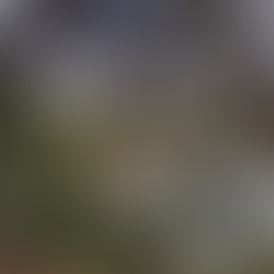 🌿 Φράγμα Θέρμης: Μια μικρή όαση... που περιμένει να ξαναζωντανέψει