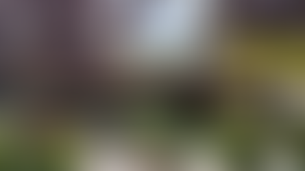 🍽️ Τα Πυθάρια Πεύκα Θεσσαλονίκης