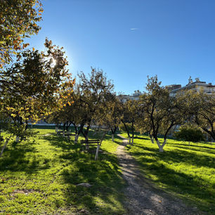 🌿 Άλσος Νέας Κρήνης