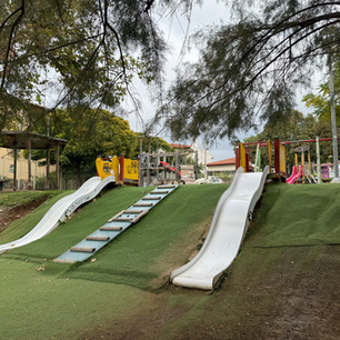 🌳 Πάρκο στο Λόφο – Πεύκα