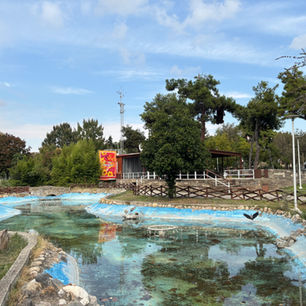 🌳 Πεδίον του Άρεως: Η πιο πράσινη ανάσα στο κέντρο της Θεσσαλονίκης