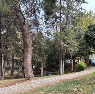 🌳 Δημοτικό Πάρκο Κρύας Βρύσης