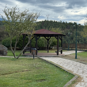 🌱 Περιβαλλοντικό Πάρκο Θέρμης: Η φύση ανασταίνεται — και εμείς μαζί της