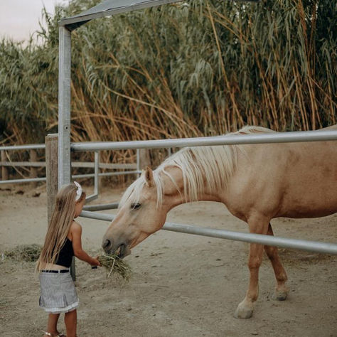 🐎 Ιππικός Όμιλος Κουβαρά: Μια οικογενειακή απόδραση στη φύση