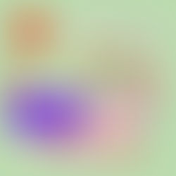 «Το Ασχημόπαπο» | 9 Νοεμβρίου 2025