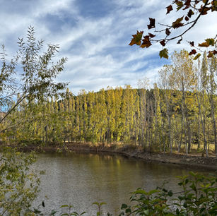 Λίμνη Ωραιοκάστρου: μια βόλτα μέσα στη φύση