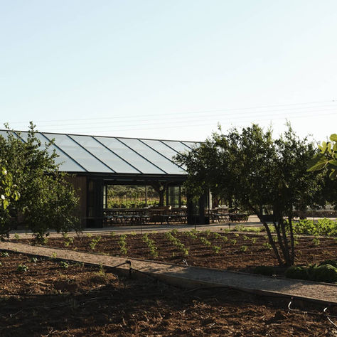 🌿 Margi Farm: «Από το χωράφι… στο τραπέζι» για όλη την οικογένεια