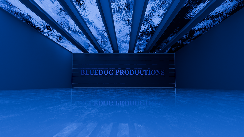 BDP 11