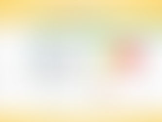 US Airline Customer Experience