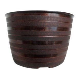 9" Carol Sue 1-Gal