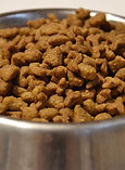 Bowl of dog food