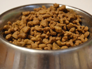 The Changing Landscape of the Pet Food Industry