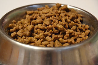 Pet Nutrition Advice