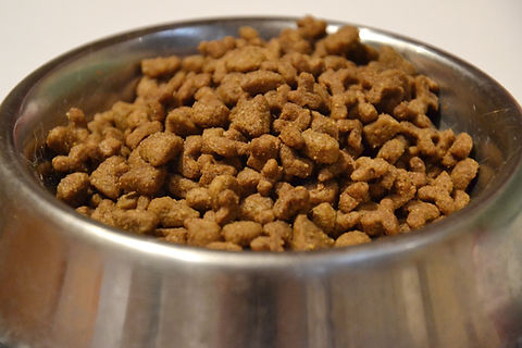 Pet Nutrition Advice
