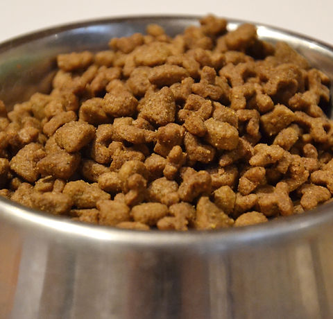Pet Nutrition Advice