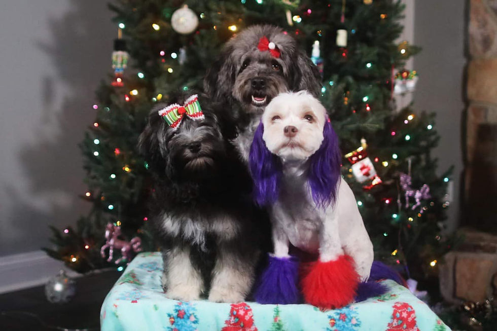 318843763_10225684325513820_3979531746309406772_n